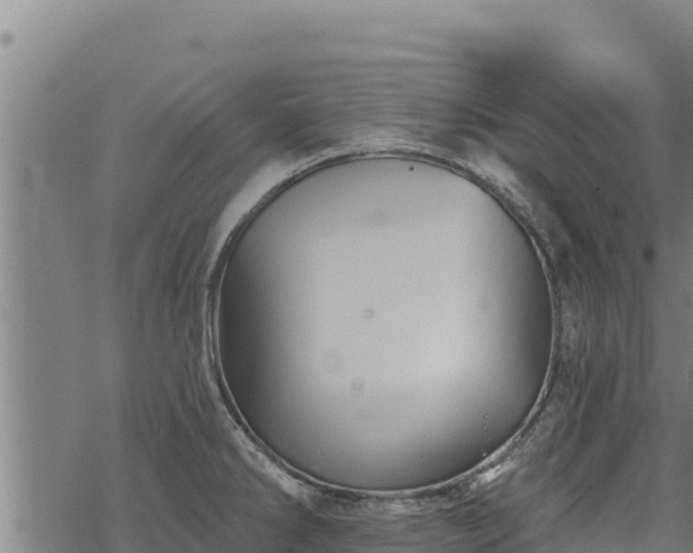 X0000068821286200605121306