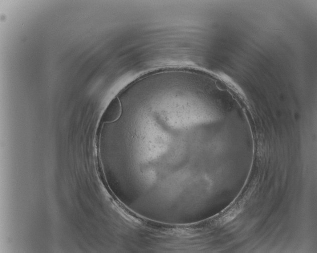 X0000068821287200605121306