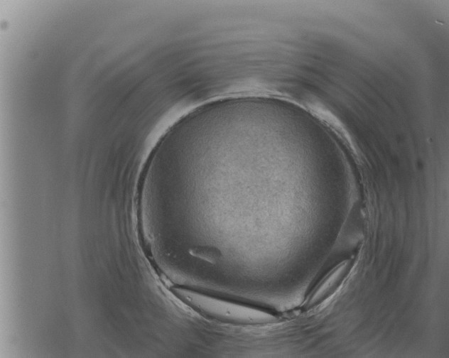 X0000068821288200605121306