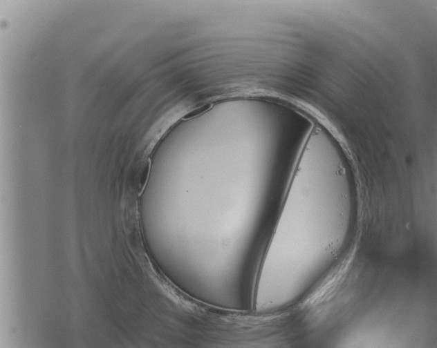 X0000068821289200605121306