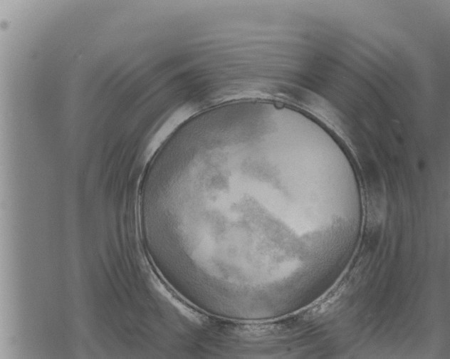 X0000068821290200605121306