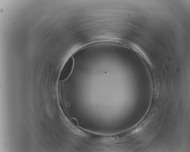 X0000068821291200605121306