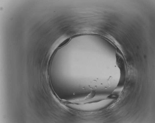 X0000068821293200605121306