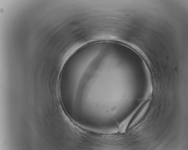 X0000068821295200605121306