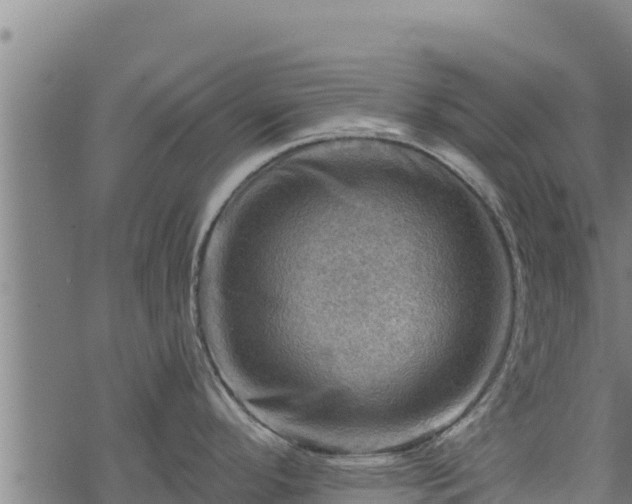 X0000068821296200605121306