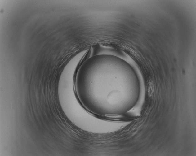 X0000068821298200605121305