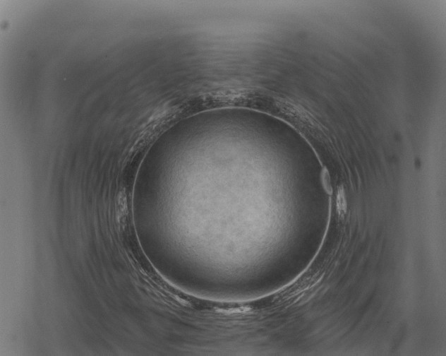 X0000068821299200605121305