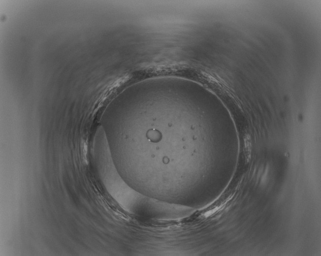 X0000068821300200605121305