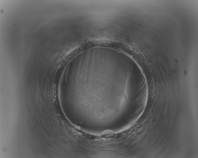 X0000068821301200605121305