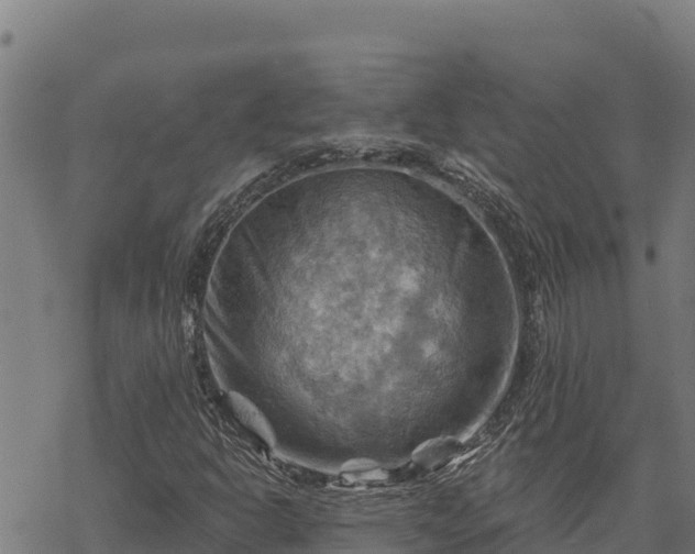 X0000068821302200605121305