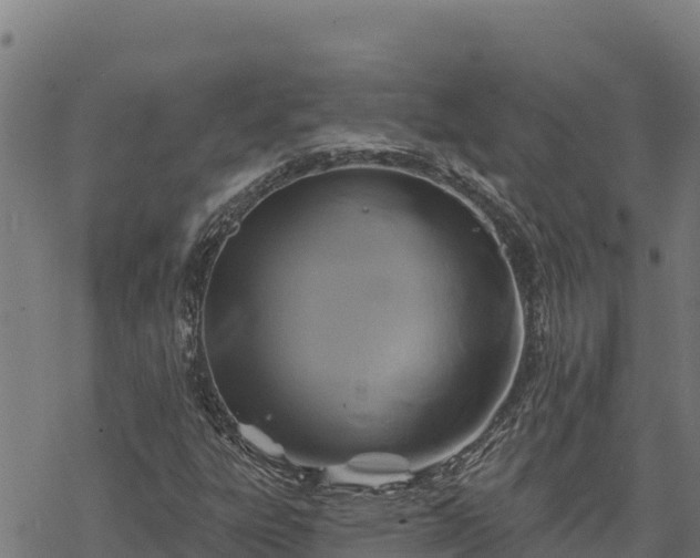 X0000068821303200605121305