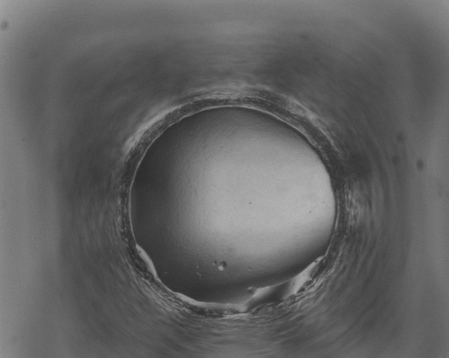 X0000068821304200605121305