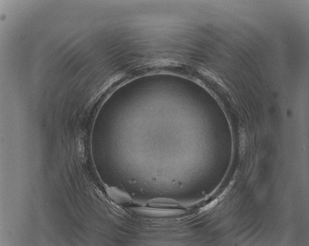 X0000068821305200605121305