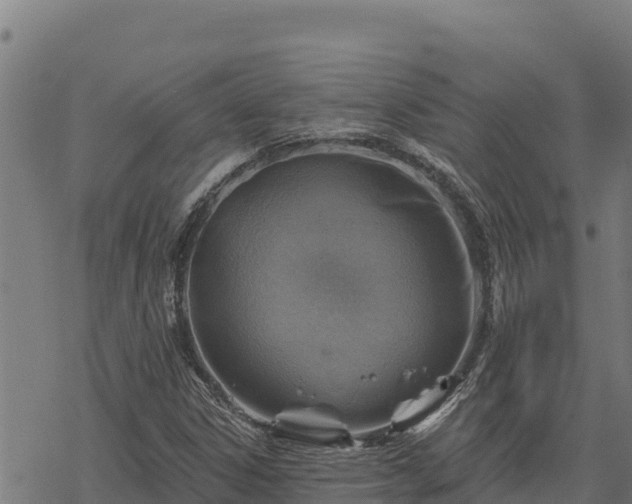 X0000068821306200605121305