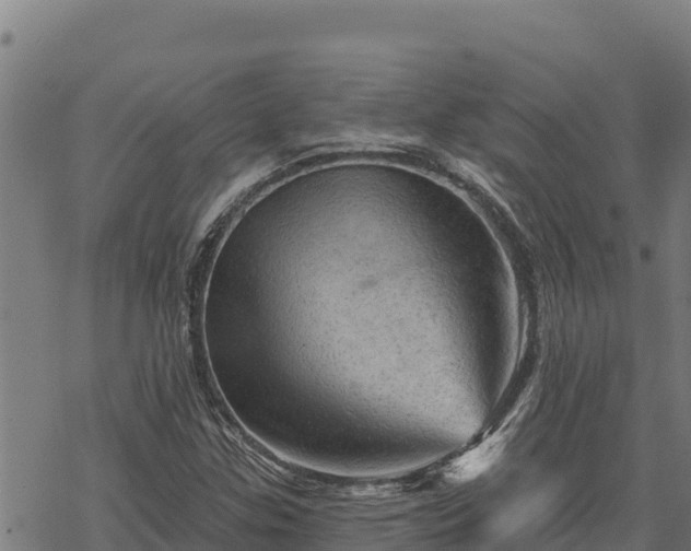 X0000068821307200605121305