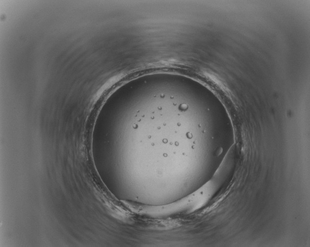 X0000068821308200605121305