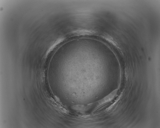 X0000068821309200605121306