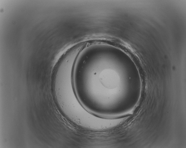 X0000068821312200605121306