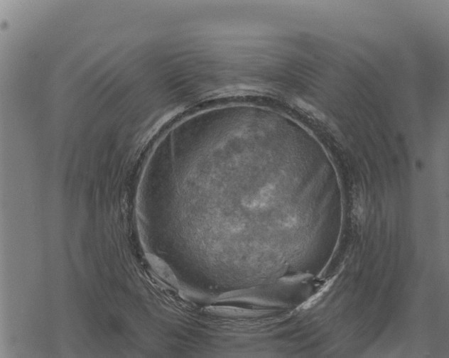 X0000068821313200605121306