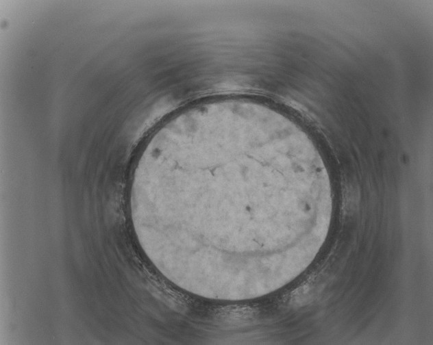 X0000068821314200605121306