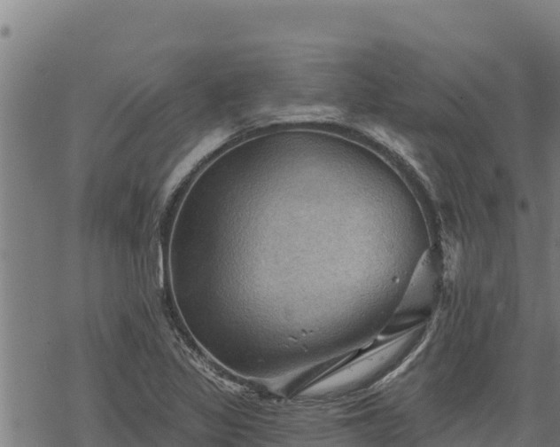 X0000068821317200605121306