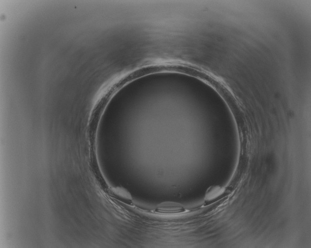 X0000068821319200605121306