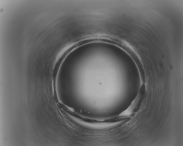 X0000068821320200605121306