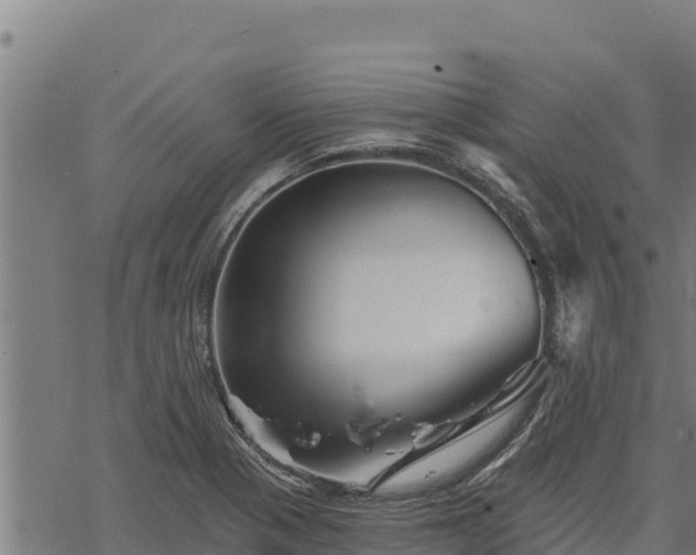 X0000068821321200605121306