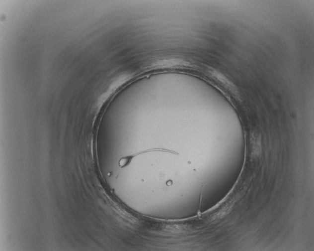 X0000068821322200605121306