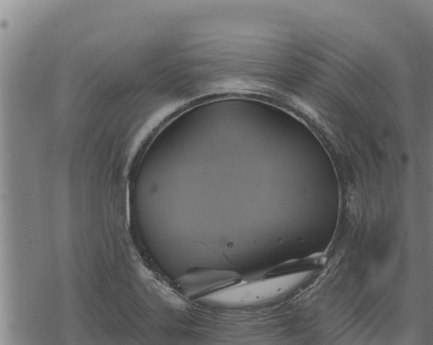 X0000068821323200605121306