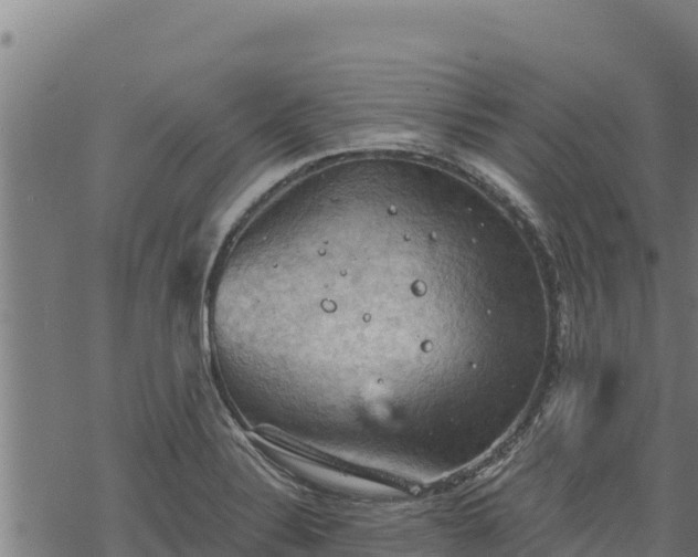 X0000068821324200605121306