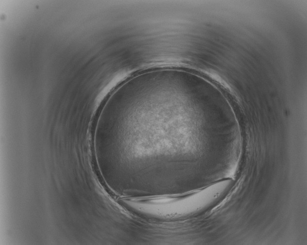 X0000068821325200605121306