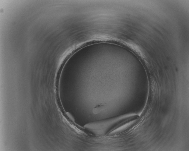 X0000068821327200605121306