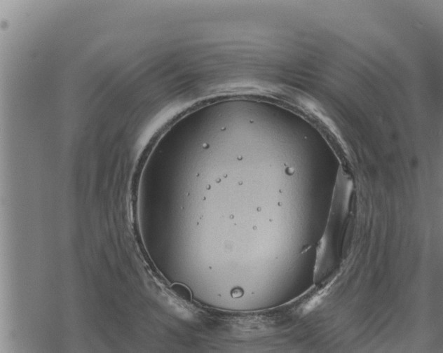 X0000068821328200605121306