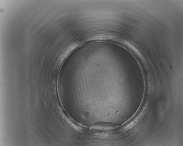 X0000068821329200605121306