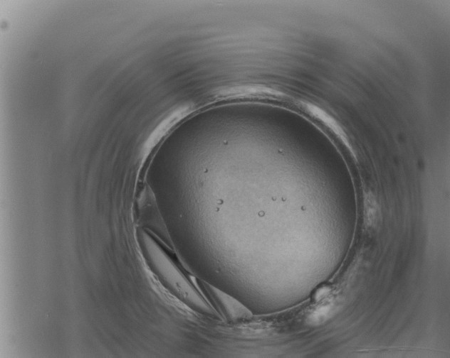 X0000068821330200605121306