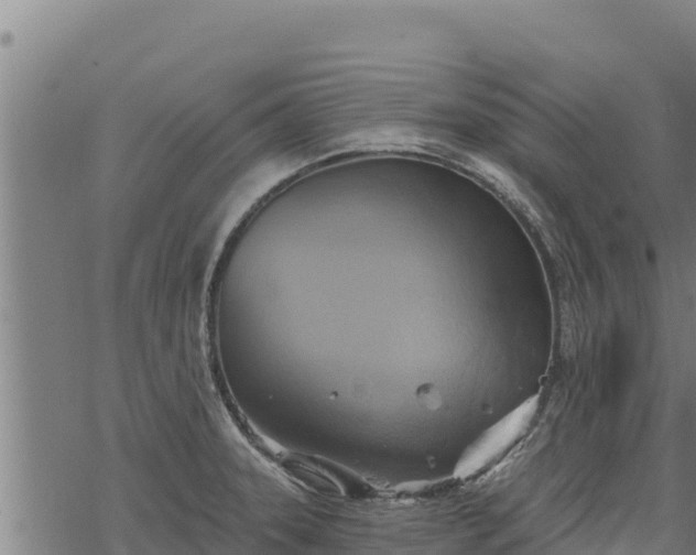 X0000068821331200605121306