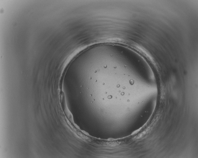 X0000068821332200605121306