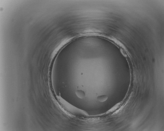 X0000068821333200605121306