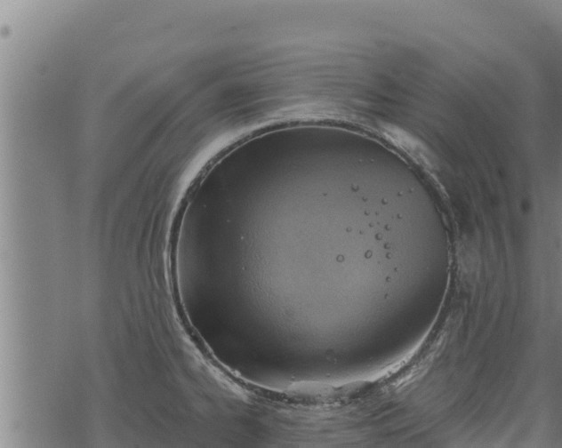 X0000068821334200605121306