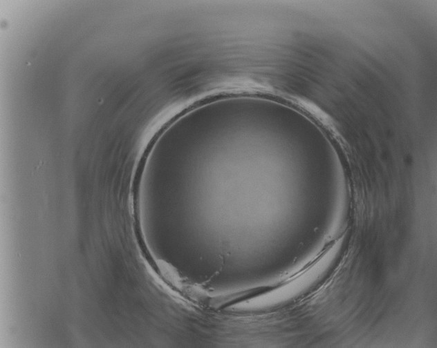 X0000068821335200605121306