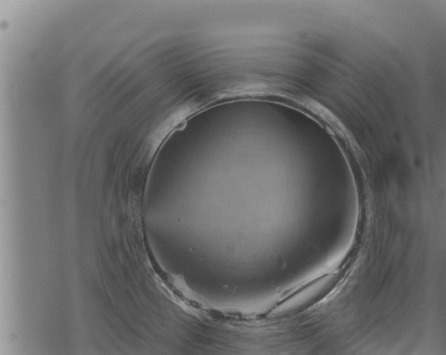 X0000068821337200605121306