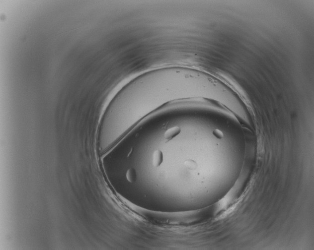 X0000068821340200605121306