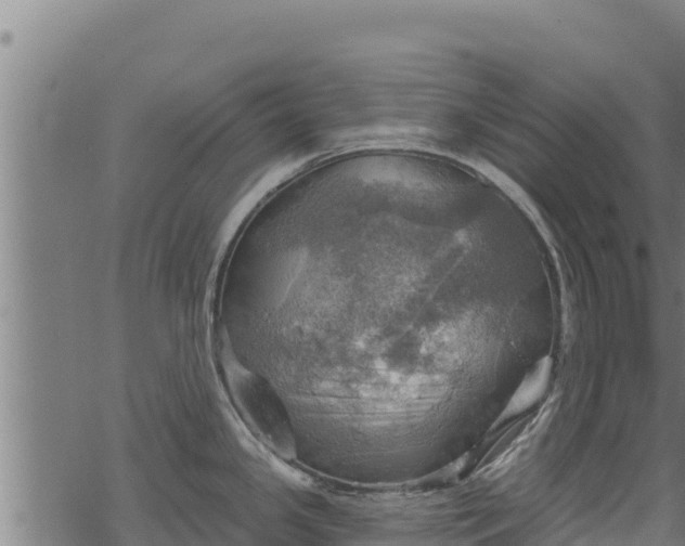 X0000068821341200605121306