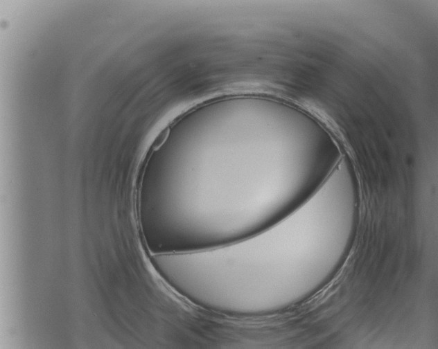 X0000068821342200605121306