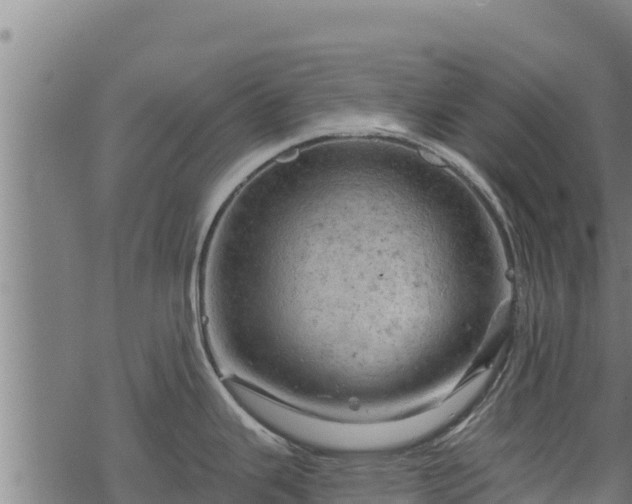 X0000068821343200605121306