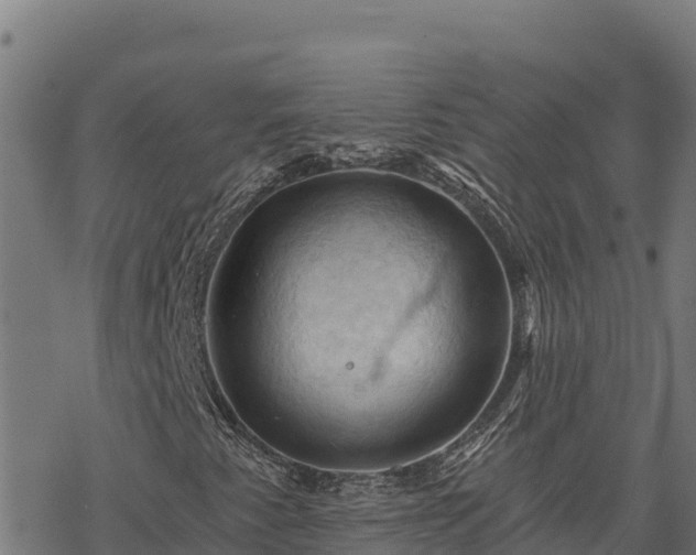 X0000068821345200605121305