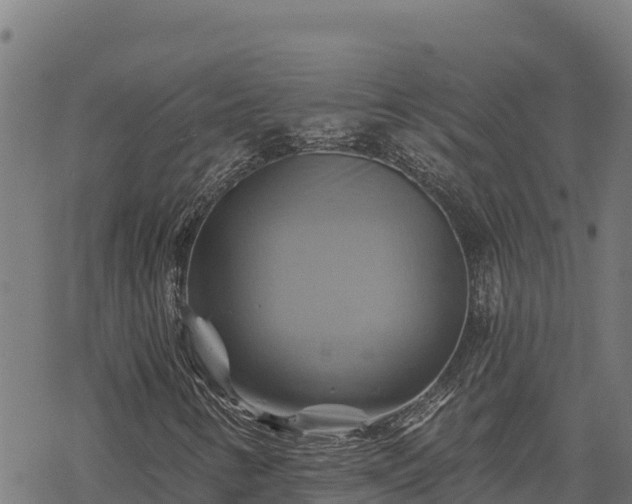 X0000068821346200605121305