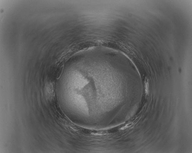 X0000068821347200605121305