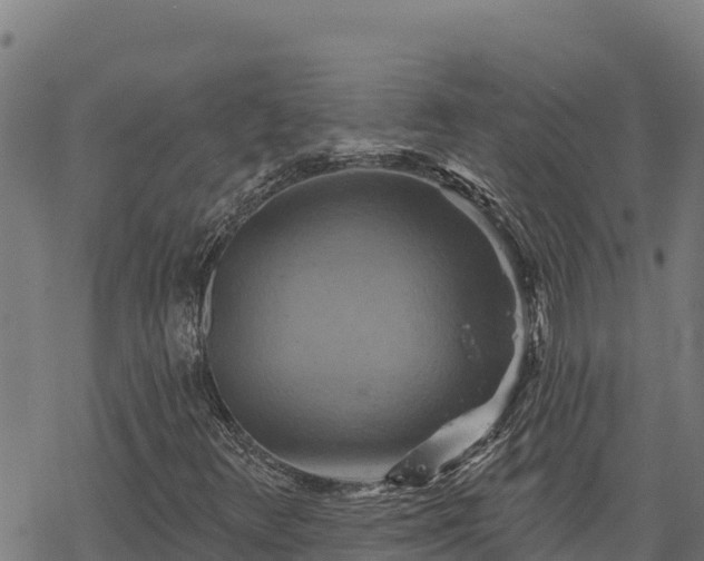 X0000068821348200605121305